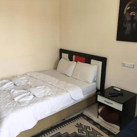 Shah Sultan Ozturk Hotel 2*